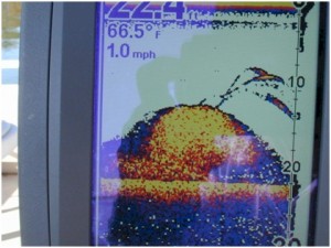 ff-graph2 fish finder graph2