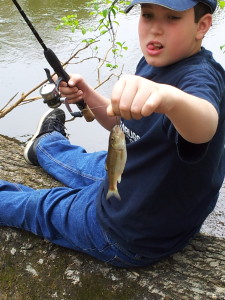 first freshwater fish catch of 2013